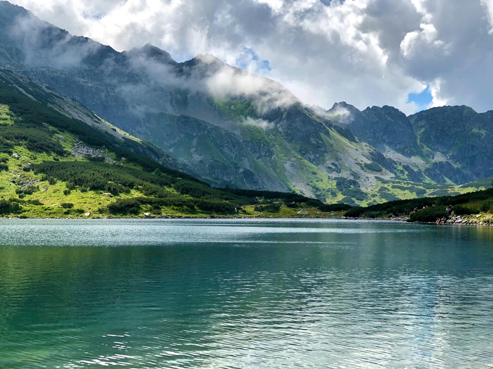 NestB water project – living water and nature